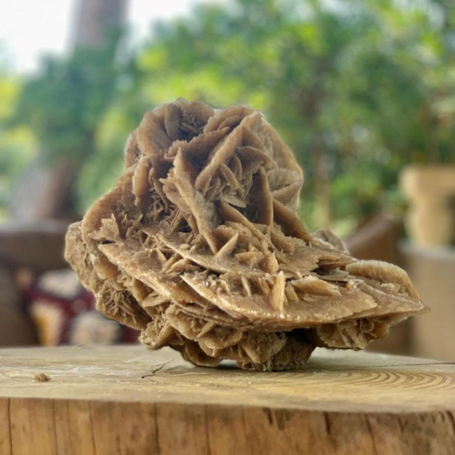 Casa Vacanze Capurre "Trulli E Pajare A Due Passi Dal Pizzo" Gallipoli Bagian luar foto